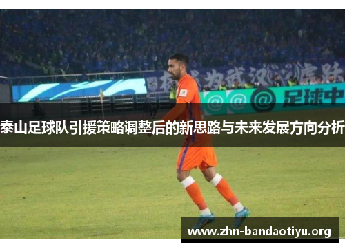 泰山足球队引援策略调整后的新思路与未来发展方向分析 泰山足球队引援策略调整后的新思路与未来发展方向分析