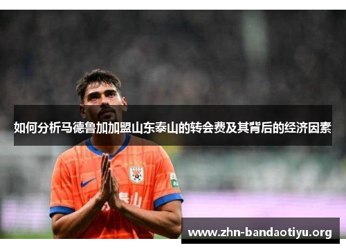 如何分析马德鲁加加盟山东泰山的转会费及其背后的经济因素 如何分析马德鲁加加盟山东泰山的转会费及其背后的经济因素