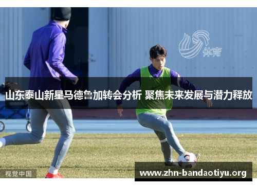 山东泰山新星马德鲁加转会分析 聚焦未来发展与潜力释放 山东泰山新星马德鲁加转会分析 聚焦未来发展与潜力释放