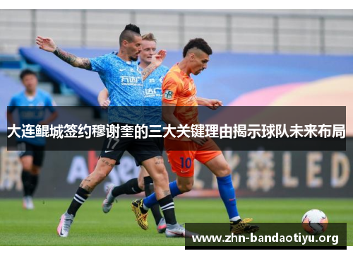 大连鲲城签约穆谢奎的三大关键理由揭示球队未来布局 大连鲲城签约穆谢奎的三大关键理由揭示球队未来布局