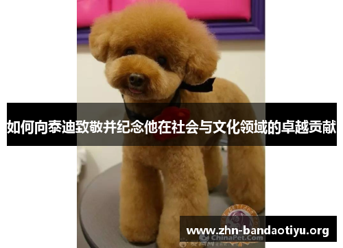 如何向泰迪致敬并纪念他在社会与文化领域的卓越贡献 如何向泰迪致敬并纪念他在社会与文化领域的卓越贡献