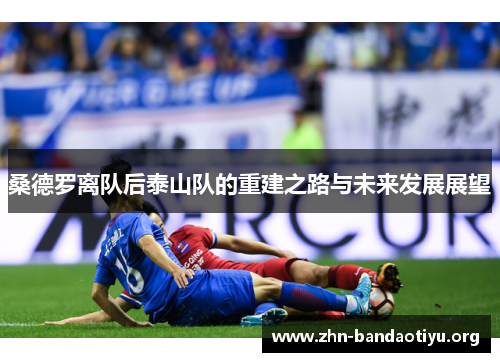 桑德罗离队后泰山队的重建之路与未来发展展望 桑德罗离队后泰山队的重建之路与未来发展展望