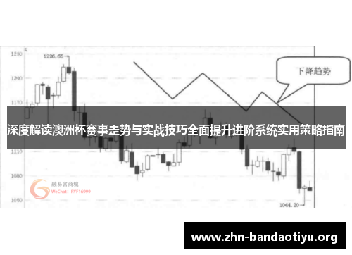 深度解读澳洲杯赛事走势与实战技巧全面提升进阶系统实用策略指南